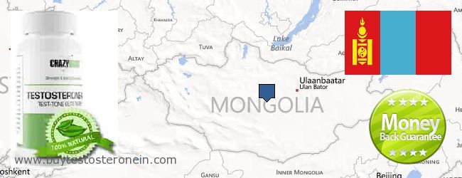 Gdzie kupić Testosterone w Internecie Mongolia